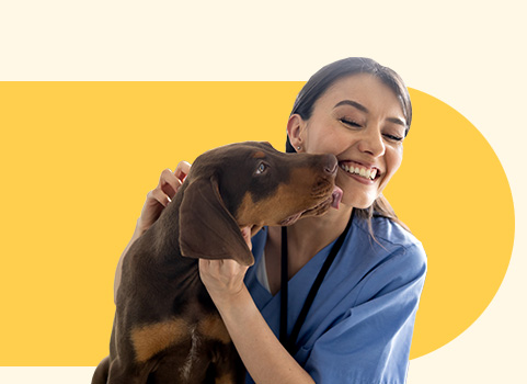 dog licking vet worker's face.