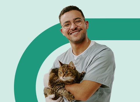 Male vet tech holding tabby cat.