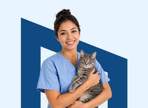 Woman in light blue scrubs holding tabby cat on blue background.