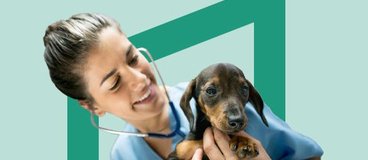 vet tech with stethoscope holding puppy on green background.