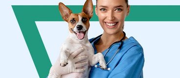 Female vet tech in blue scrubs is holding up a happy Jack Russell terrier.