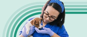 Vet tech holding brown and white puppy.
