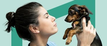 vet tech holding small brown and black puppy on green background.
