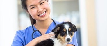 A woman in a lab coat wearing a stethoscope holds a small dog in her arms