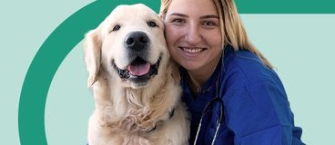 vet assistant in blue scrubs with golden retriever.