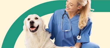 healthcare worker petting and holding a golden retriever's paw.