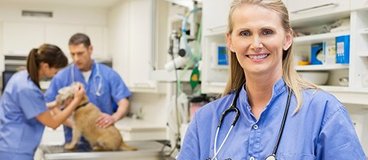 A woman stands in the foreground wearing scrubs and a stethoscope. Behind her, two people wearing scrubs examine a dog.
