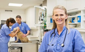 A woman stands in the foreground wearing scrubs and a stethoscope. Behind her, two people wearing scrubs examine a dog.