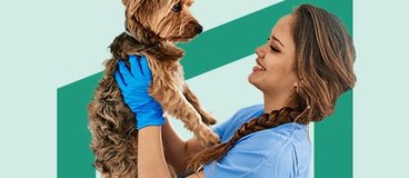 vet tech holding an adorable dog.