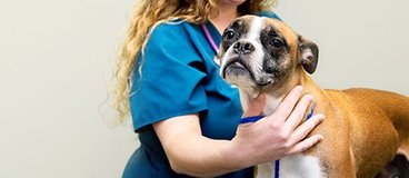 A woman with fair skin and curly blonde hair wears scrubs and holds a dog
