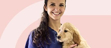Vet tech in scrubs holding puppy.