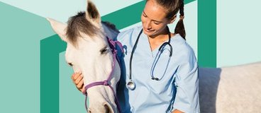vet tech in blue scrubs with white horse.