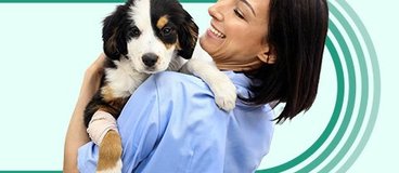 Difference Between Vet Technician and Vet Technologist