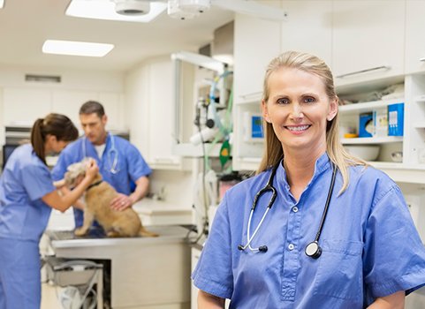A woman stands in the foreground wearing scrubs and a stethoscope. Behind her, two people wearing scrubs examine a dog.