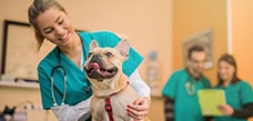 vet tech.