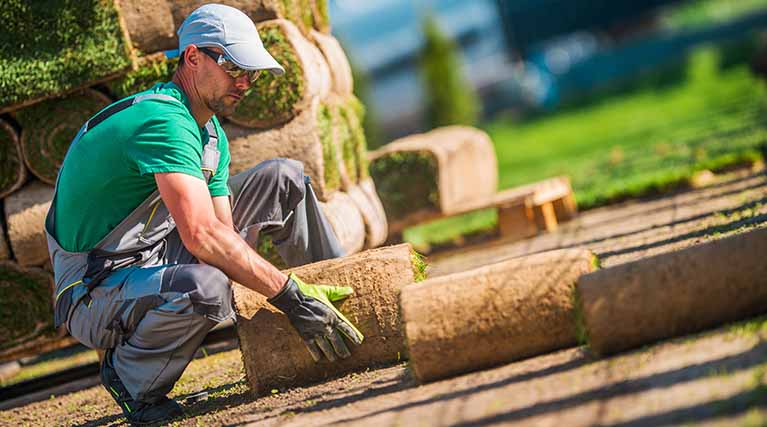 professional landscaper laying sod.