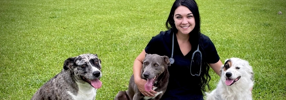 female vet with three dogs.