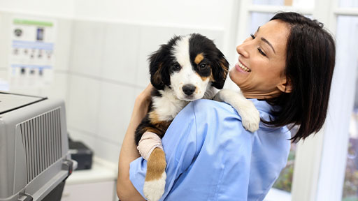 veterinary assistant holding a puppy.