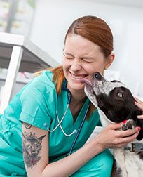 veterinary assistant getting face licked by dog.